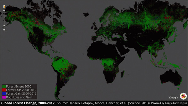 forestry high resolution world map